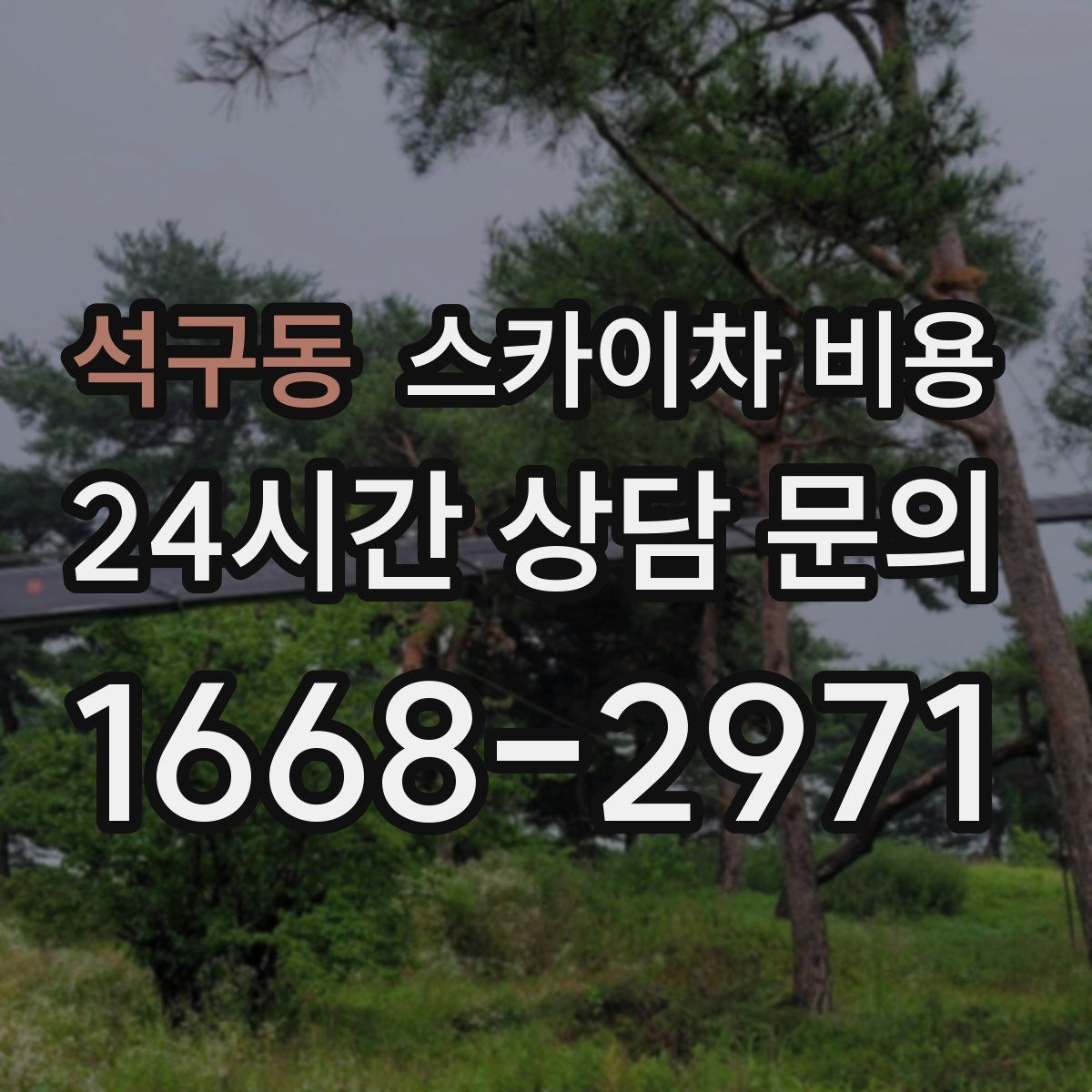 석구동 스카이차 비용