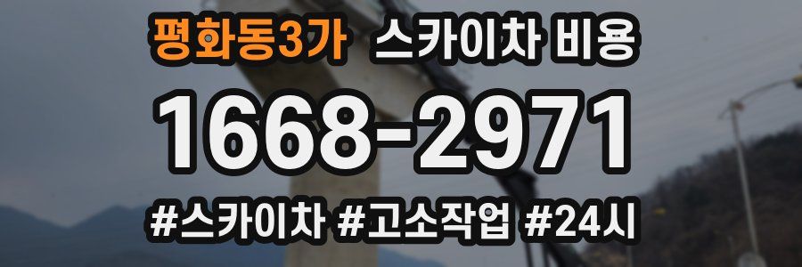 평화동3가 스카이차 비용