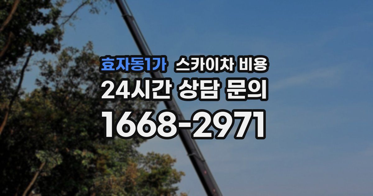 효자동1가 스카이차 비용