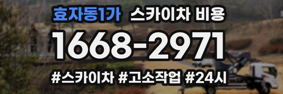 효자동1가 스카이차 비용