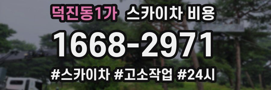 덕진동1가 스카이차 비용