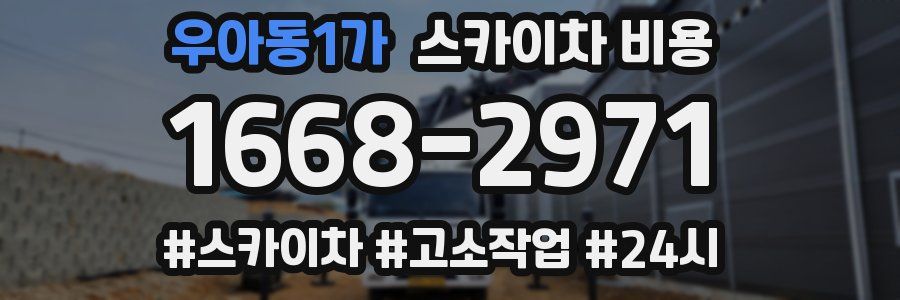 우아동1가 스카이차 비용