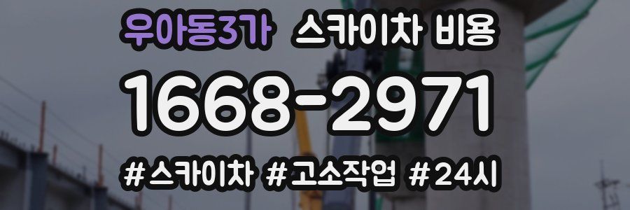 우아동3가 스카이차 비용