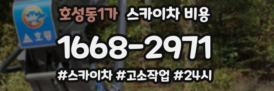 호성동1가 스카이차 비용