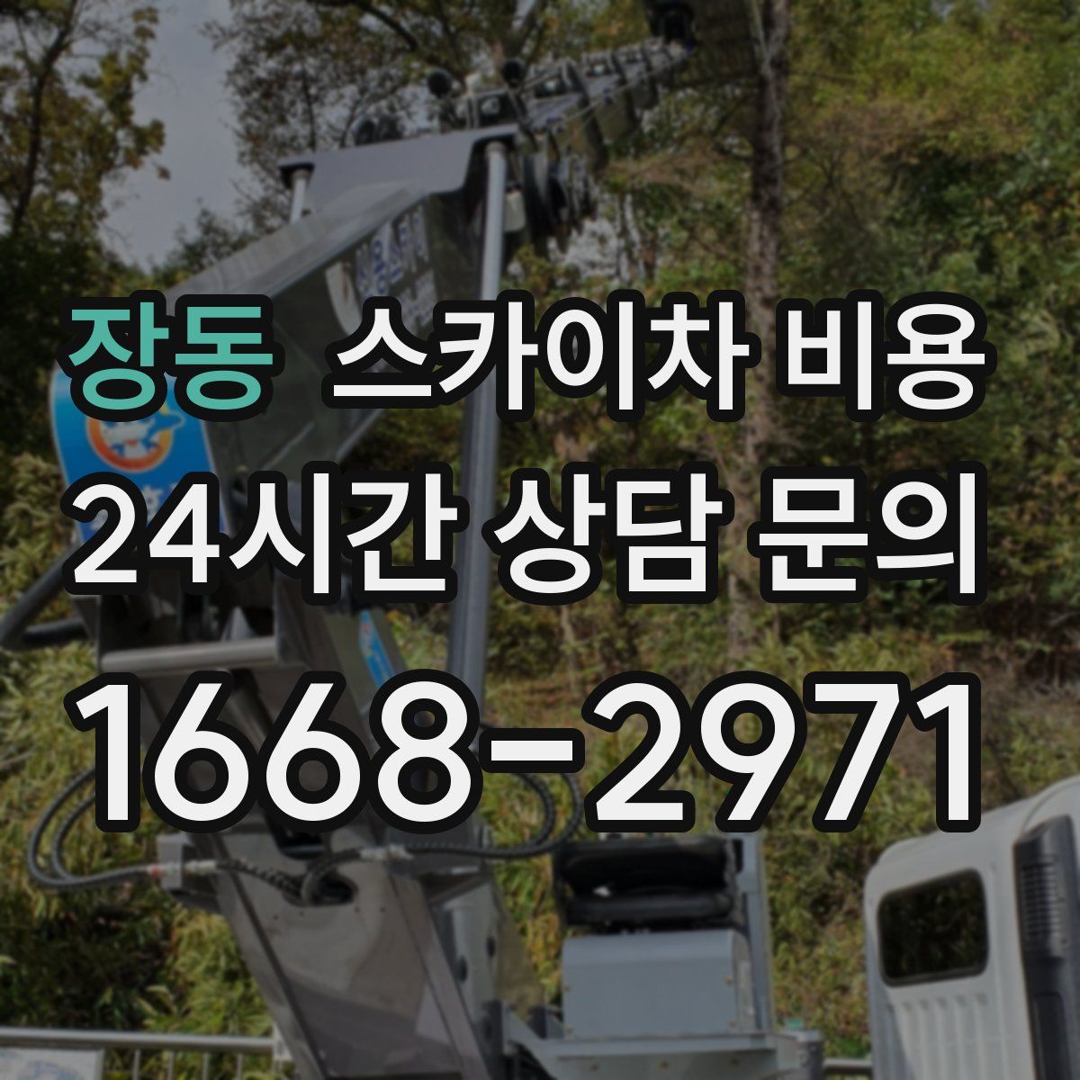 장동 스카이차 비용