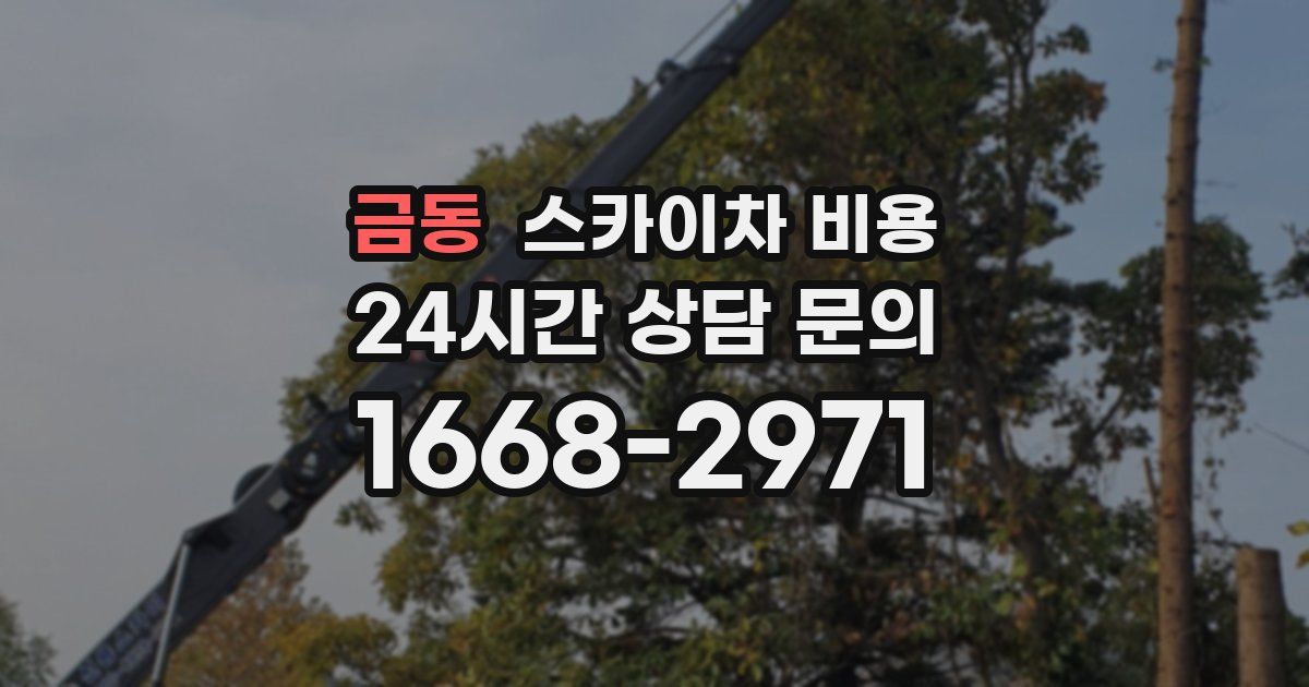 금동 스카이차 비용