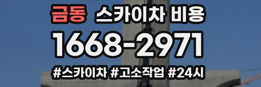 금동 스카이차 비용