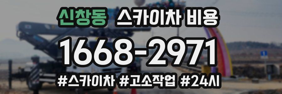 신창동 스카이차 비용