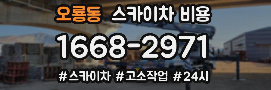 오룡동 스카이차 비용