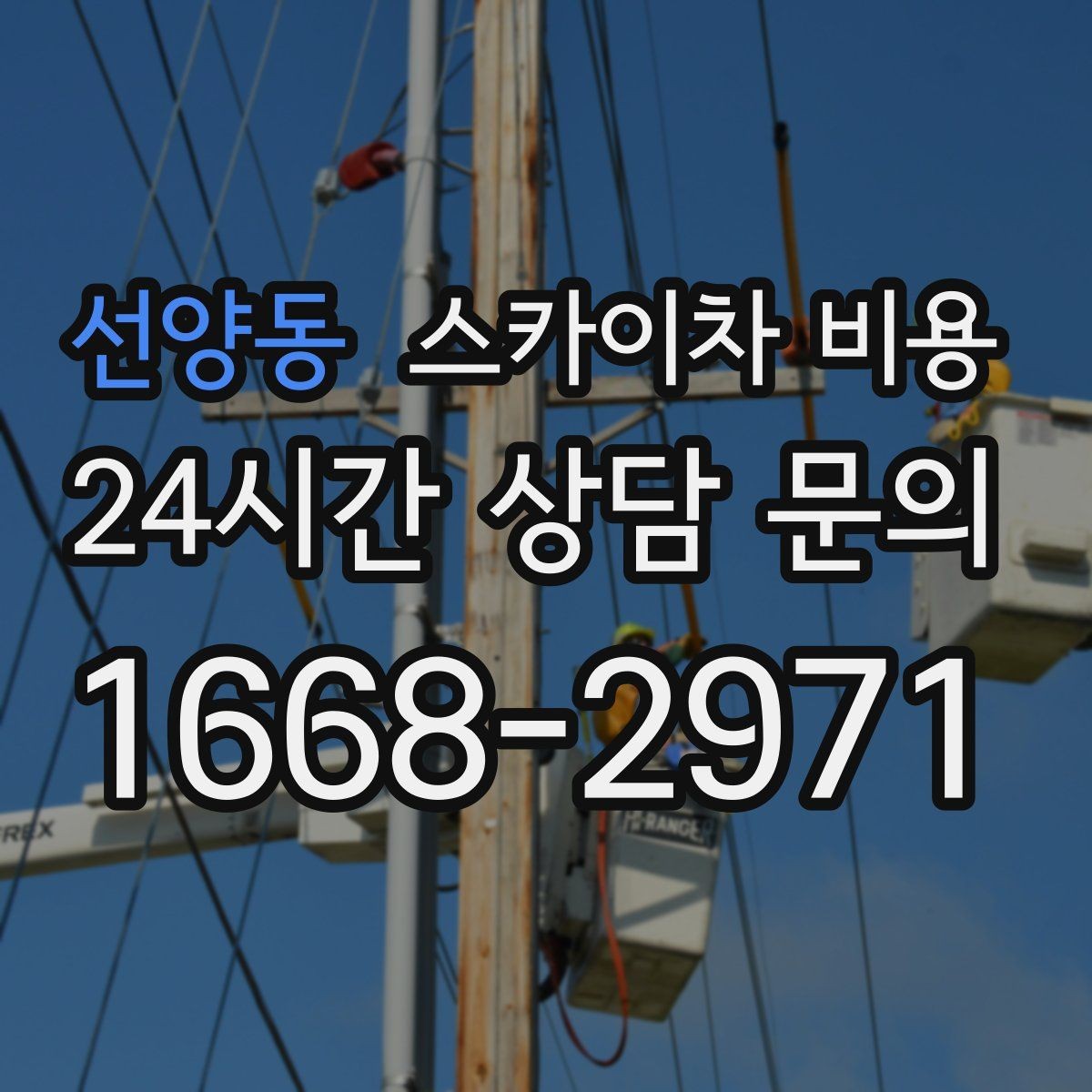 선양동 스카이차 비용 나무 전지 작업은 가지 위치가 변수가 됩니다