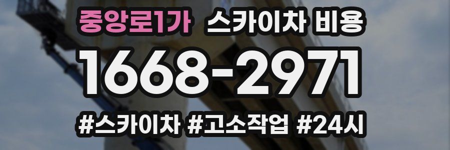 중앙로1가 스카이차 비용