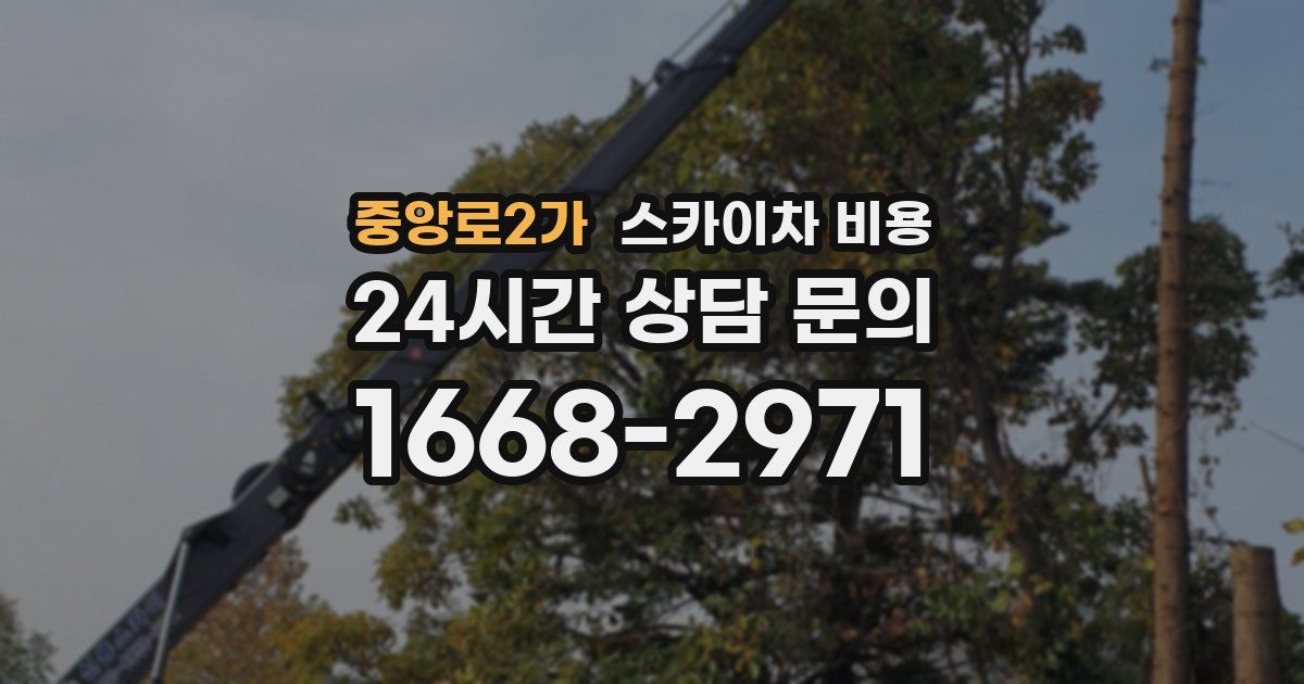 중앙로2가 스카이차 비용