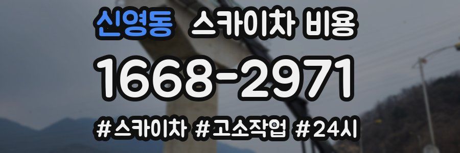 신영동 스카이차 비용