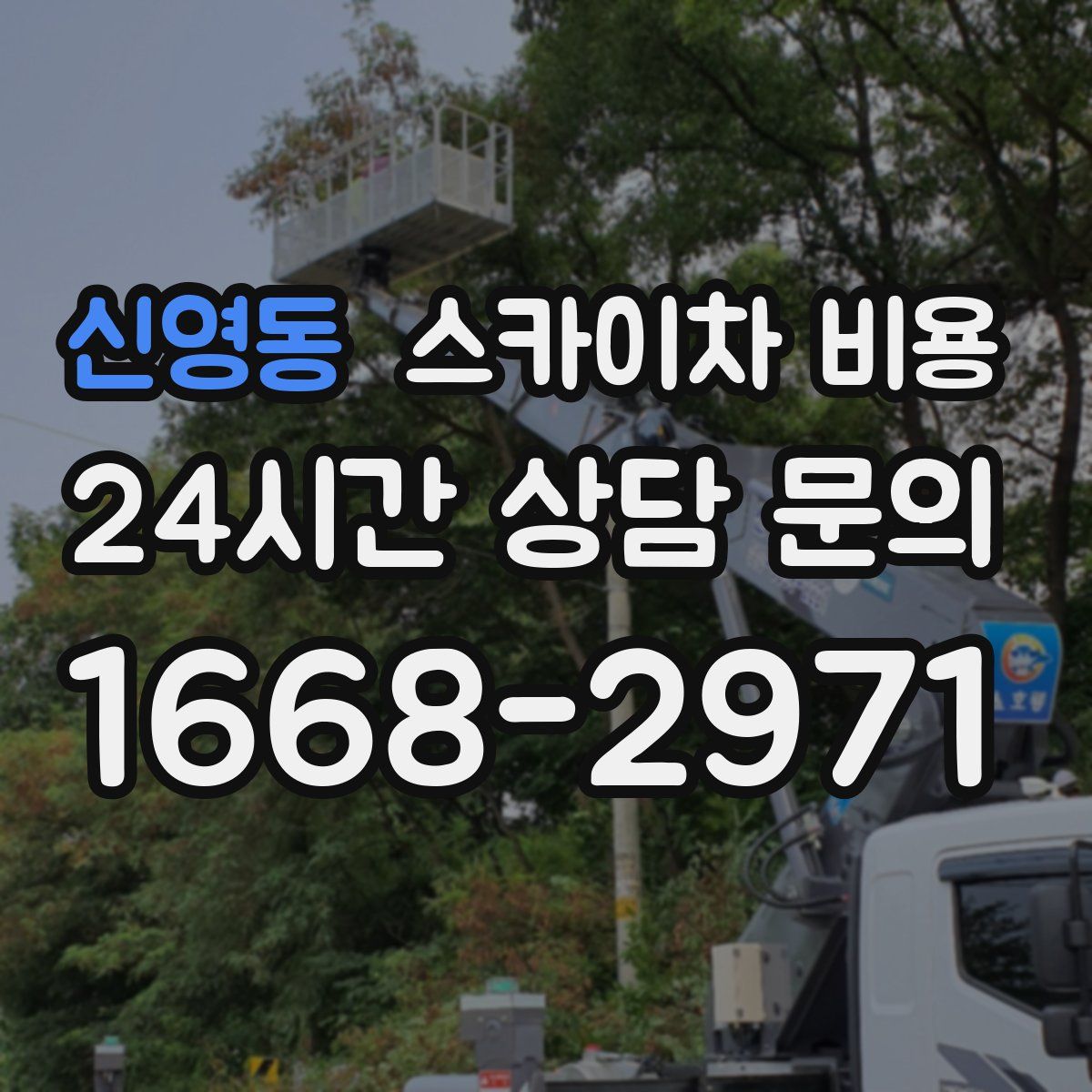 신영동 스카이차 비용