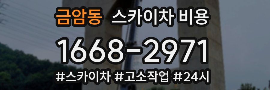 금암동 스카이차 비용