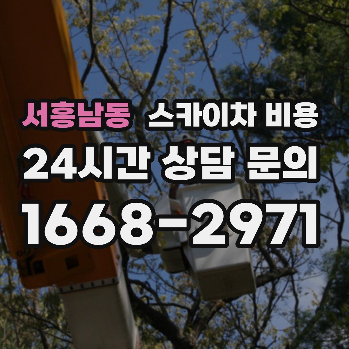 서흥남동 스카이차 비용