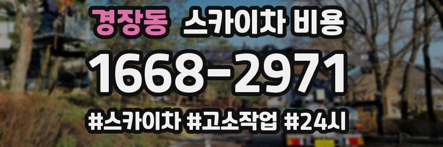 경장동 스카이차 비용