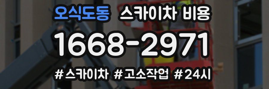 오식도동 스카이차 비용