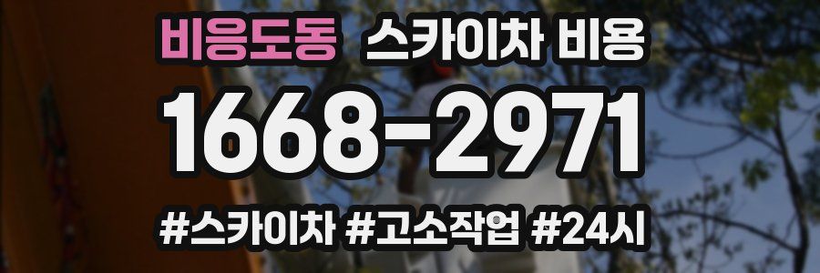 비응도동 스카이차 비용