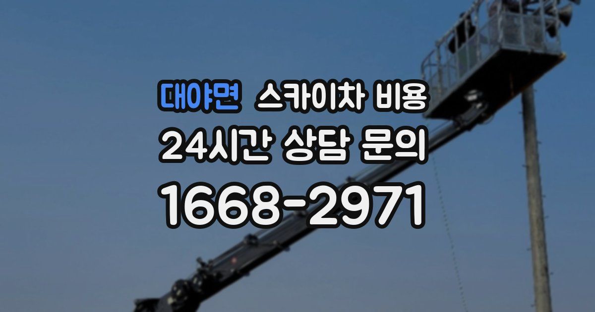 대야면 스카이차 비용