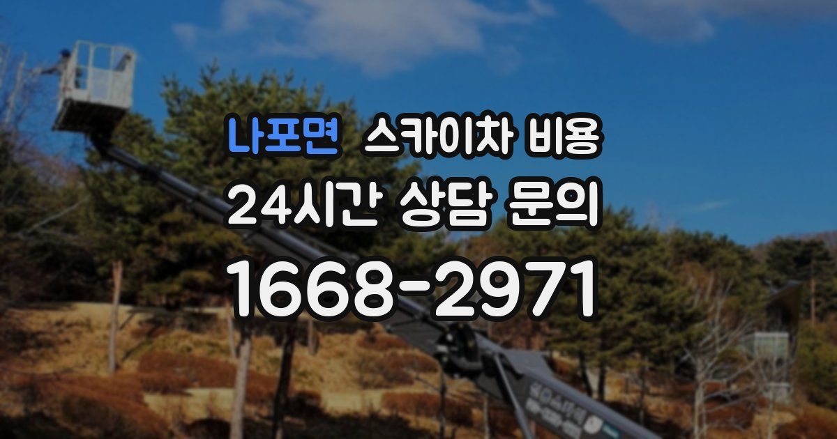 나포면 스카이차 비용