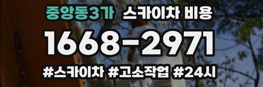 중앙동3가 스카이차 비용