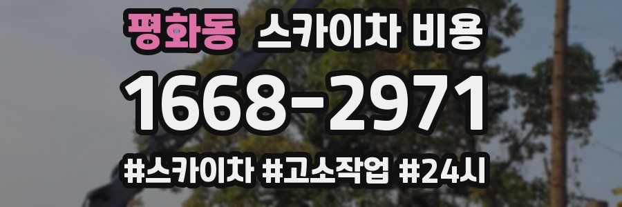 평화동 스카이차 비용