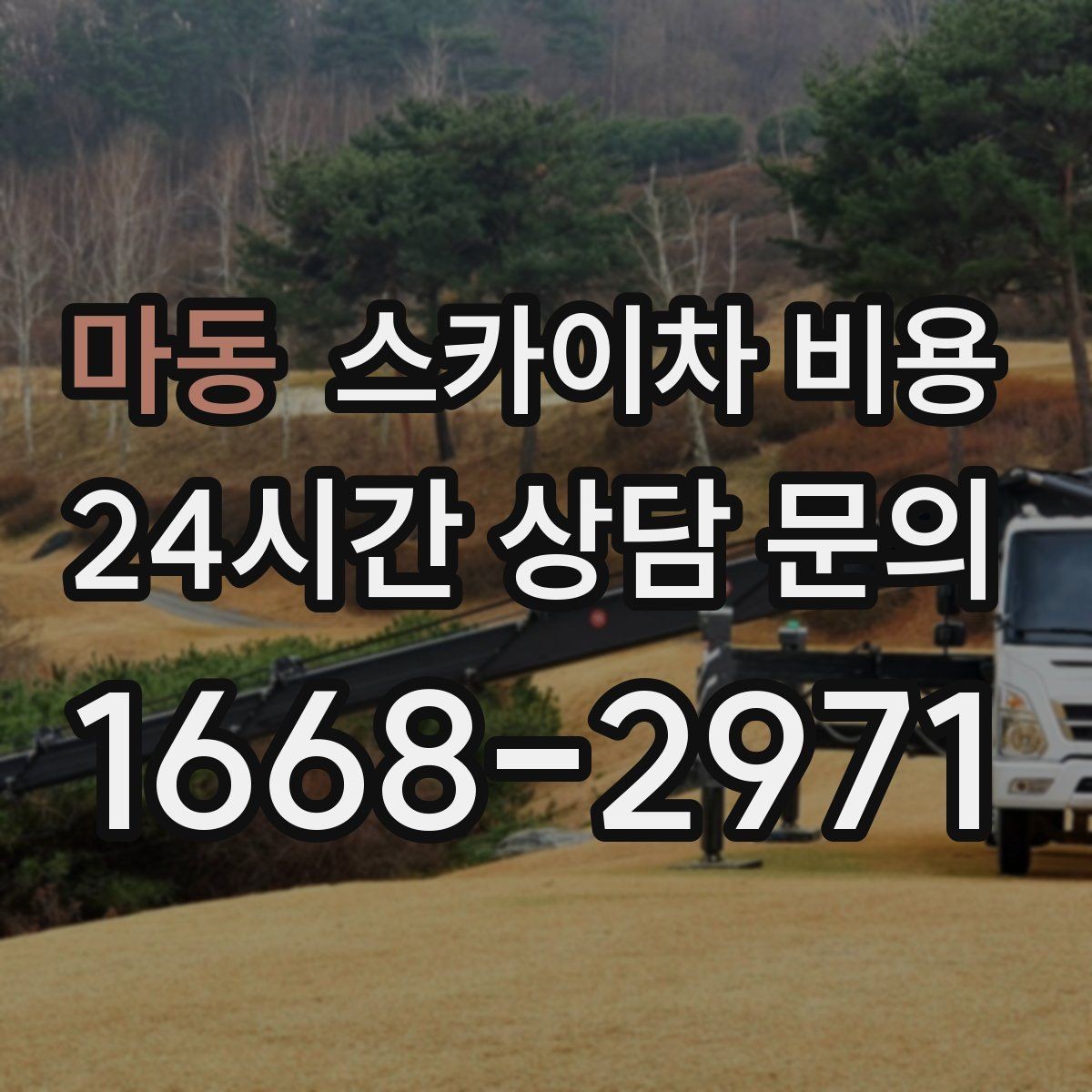 마동 스카이차 비용 가로수·간판·전선이 동선을 막을 때