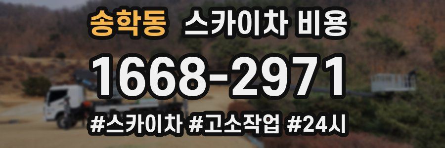 송학동 스카이차 비용