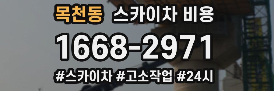 목천동 스카이차 비용