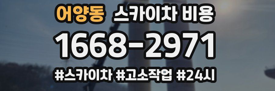 어양동 스카이차 비용