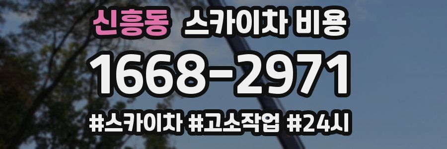 신흥동 스카이차 비용