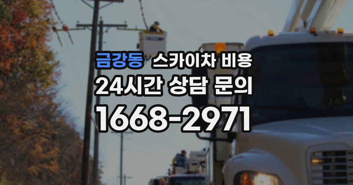 금강동 스카이차 비용