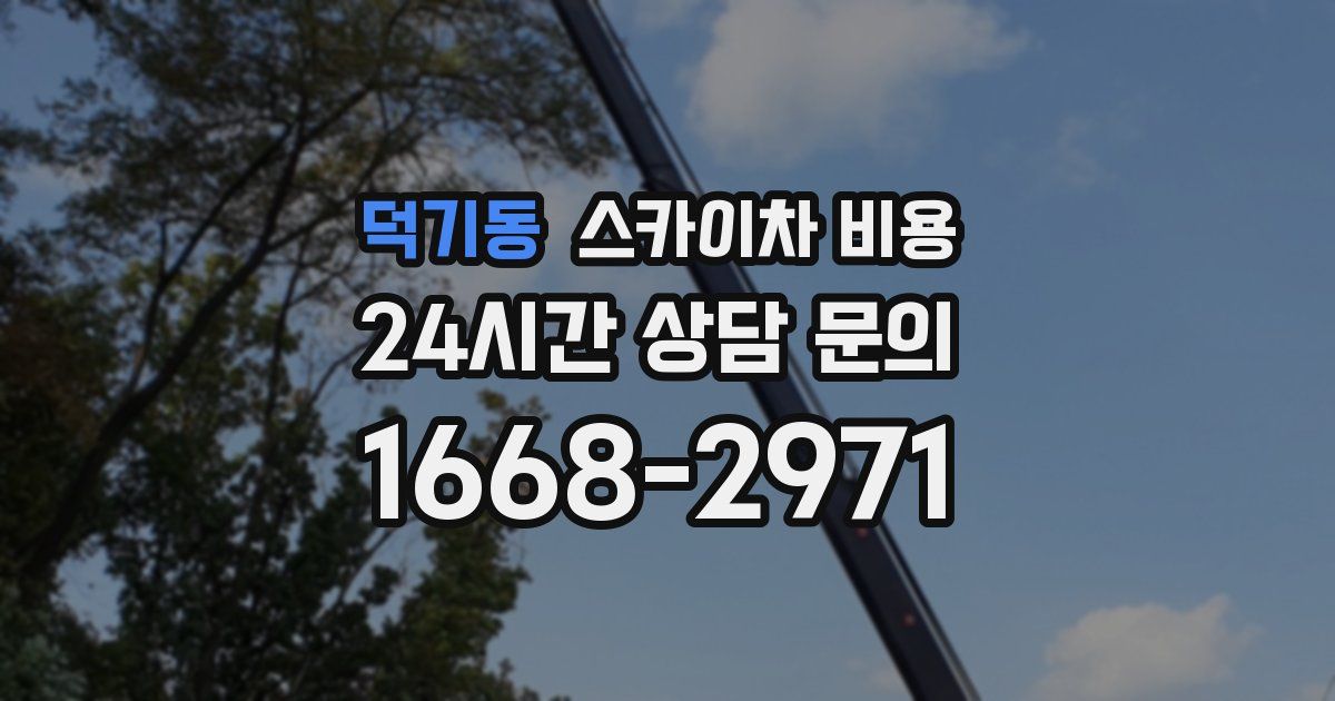 덕기동 스카이차 비용