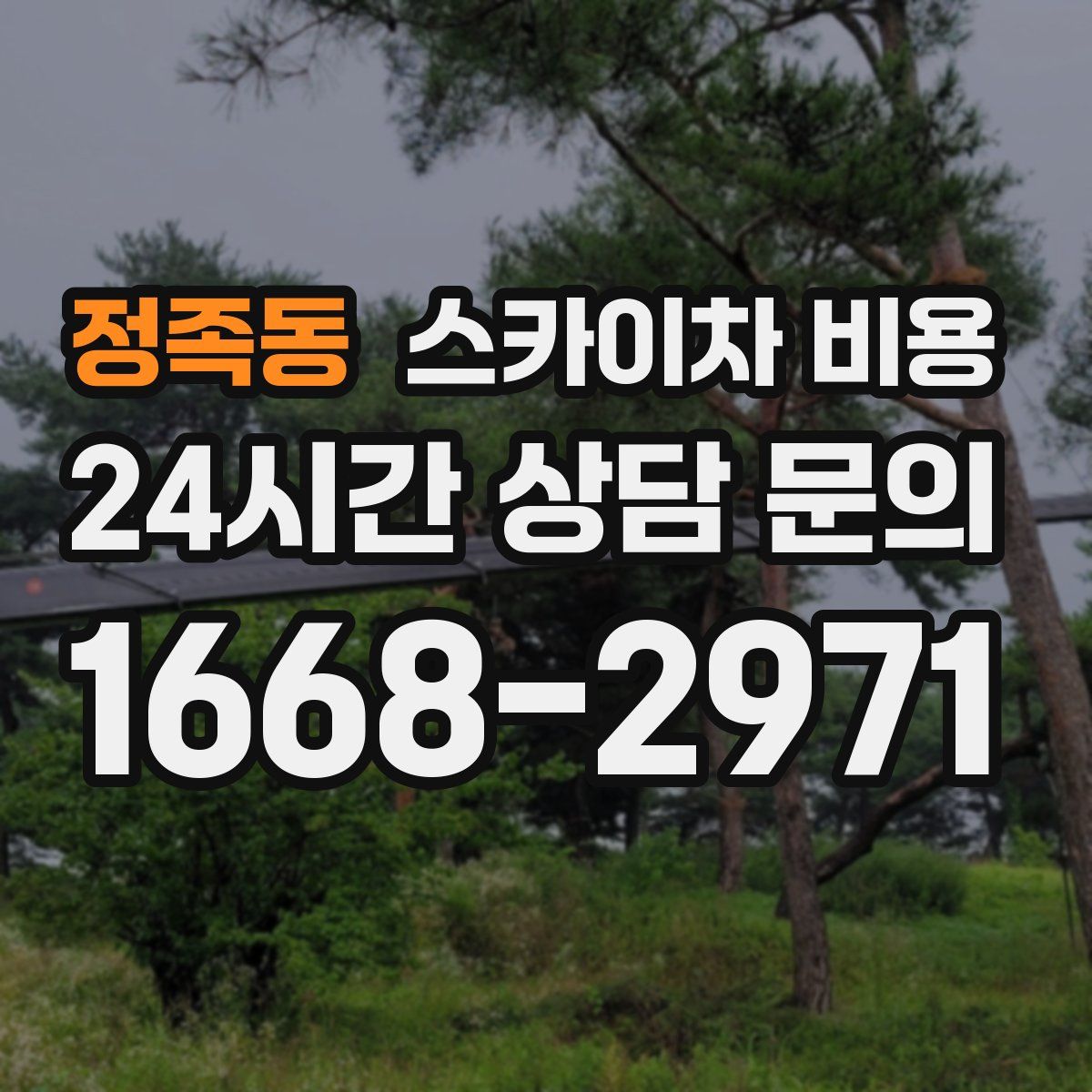 정족동 스카이차 비용