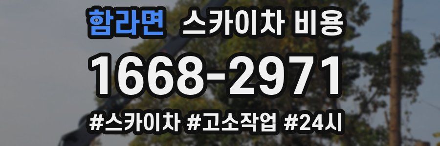 함라면 스카이차 비용