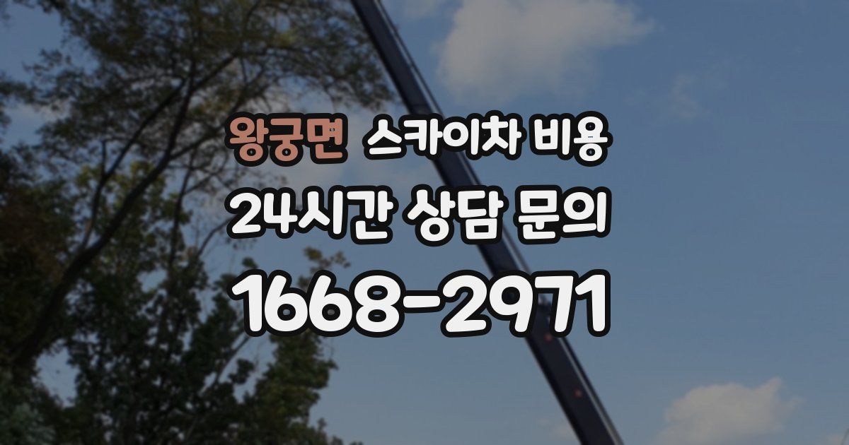 왕궁면 스카이차 비용