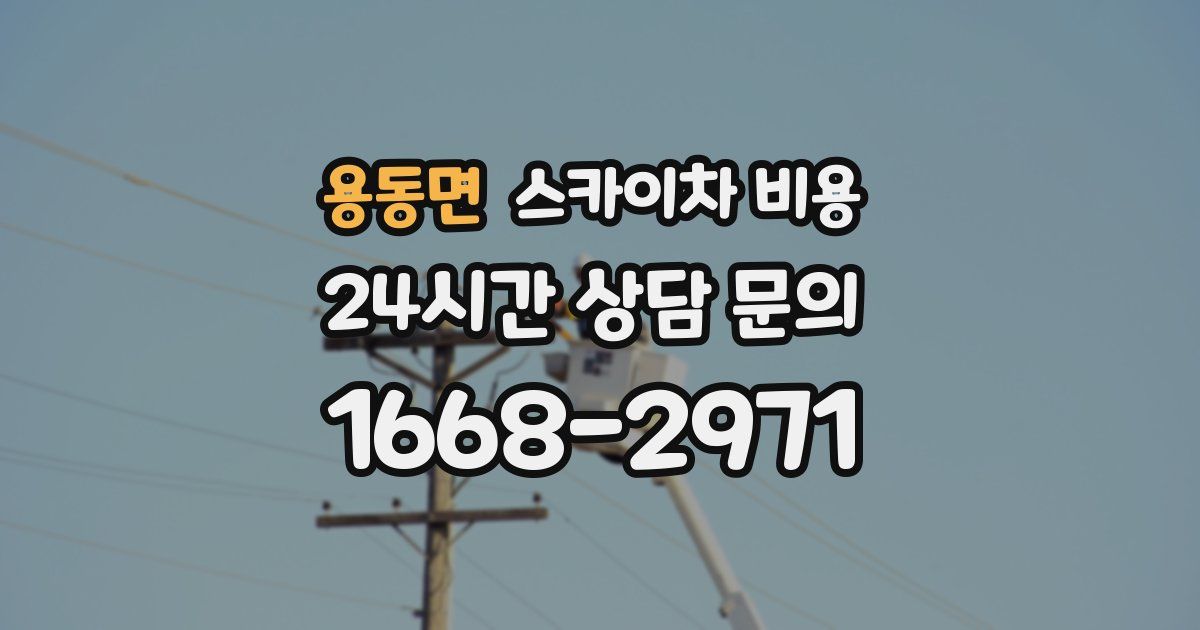 용동면 스카이차 비용