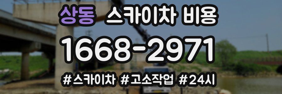 상동 스카이차 비용