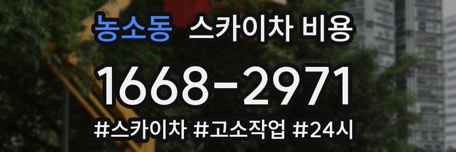 농소동 스카이차 비용