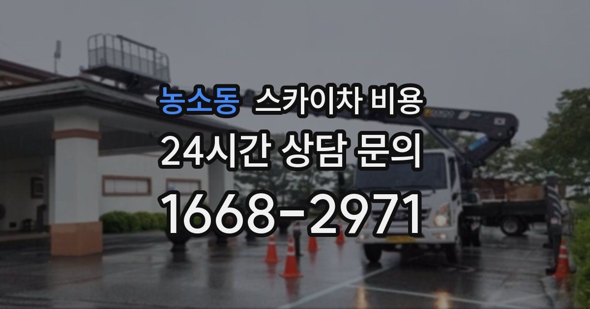 농소동 스카이차 비용