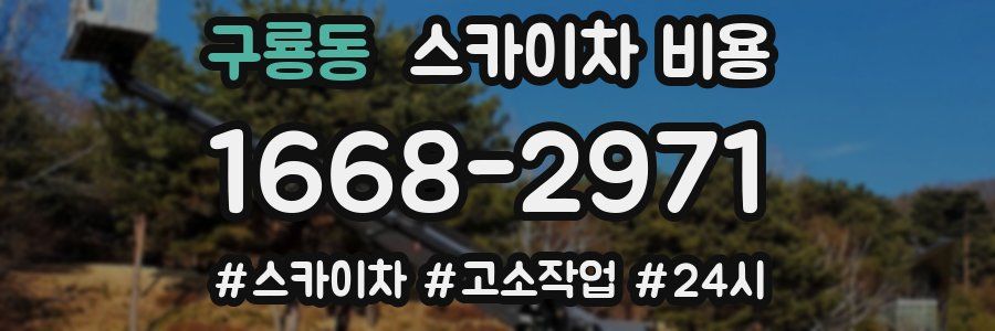 구룡동 스카이차 비용