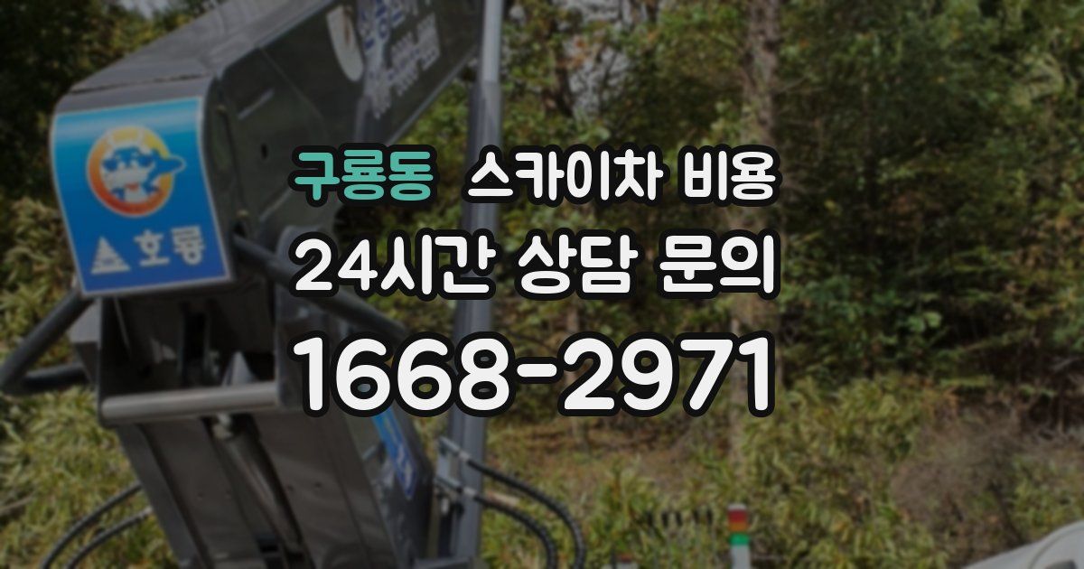 구룡동 스카이차 비용