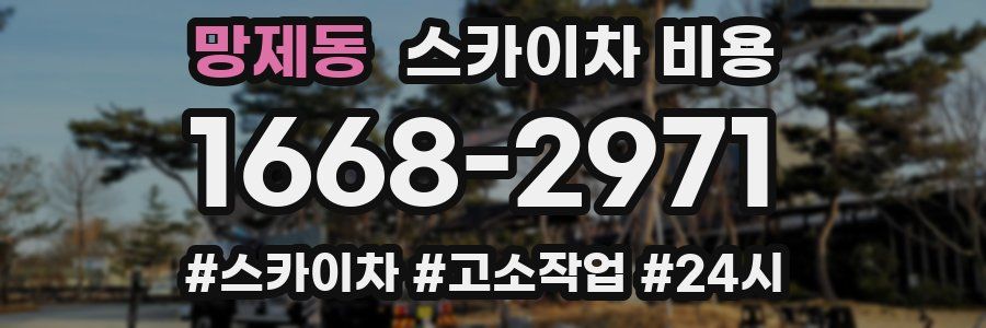 망제동 스카이차 비용