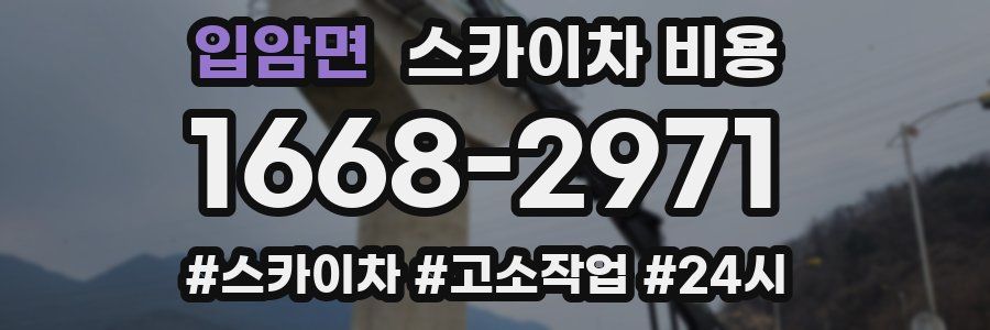 입암면 스카이차 비용