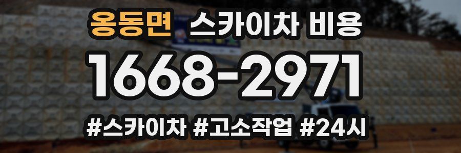 옹동면 스카이차 비용