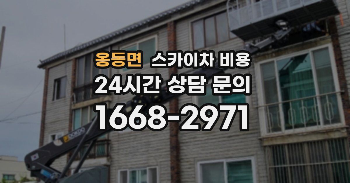 옹동면 스카이차 비용