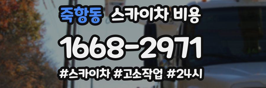 죽항동 스카이차 비용