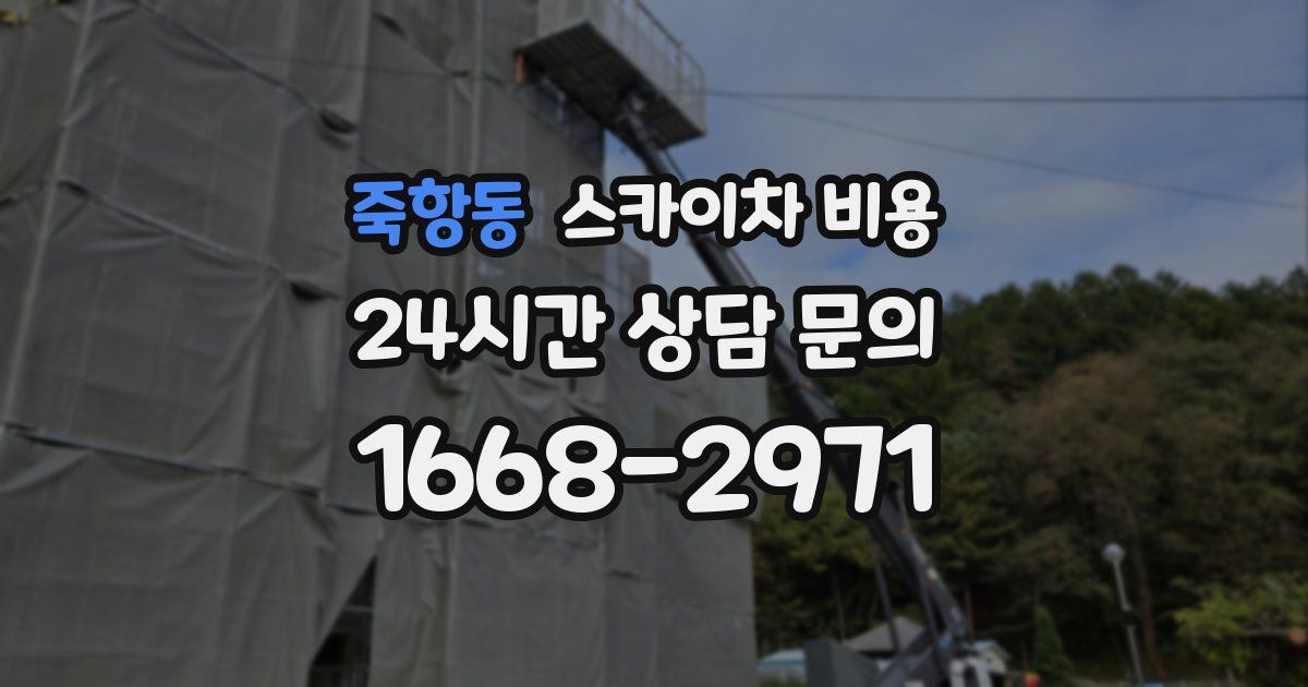 죽항동 스카이차 비용