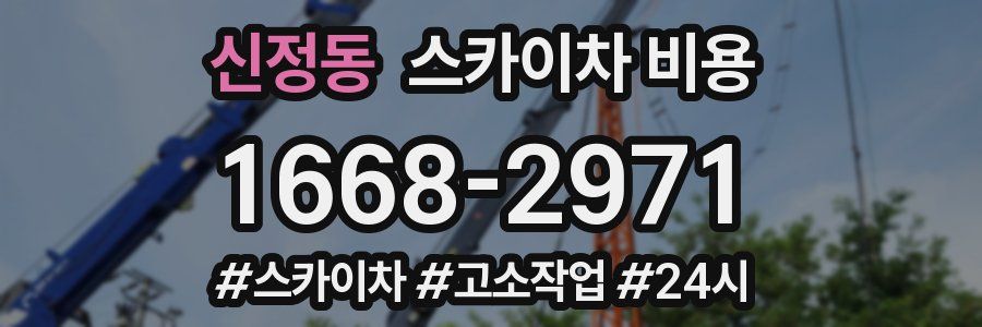 신정동 스카이차 비용